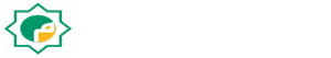 pp